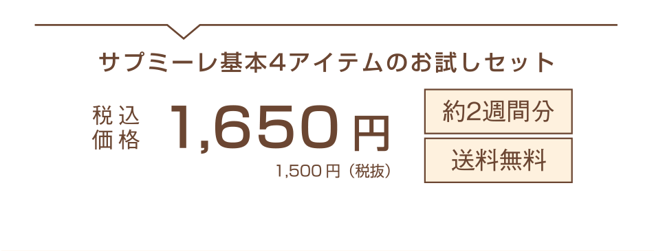 サプミーレ基本4アイテムのお試しセット