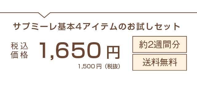 サプミーレ基本4アイテムのお試しセット